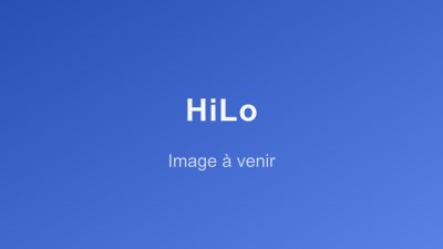 HiLo - Capture 1