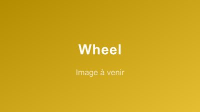 Wheel - Capture 1